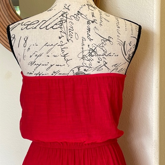 Halo Strapless Embroidered Dress - Picture 6 of 12